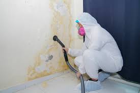 Best Real Estate Mold Inspection  in Sky Lake, FL